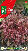 Sla 'Pluksla Red Salad Bowl' - Rode Eikenbladsla met Zachte Smaak