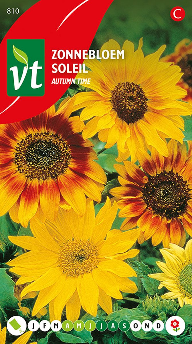 Zonnebloemzaden 'Autumn Time' - Kleurrijke Laatbloeiende Variëteit voor de Herfst