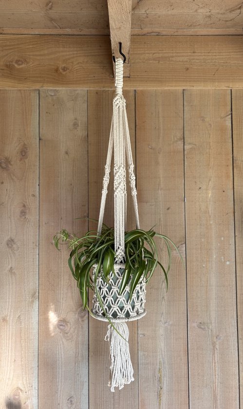 Plantenhanger 2 Stuks Macramé 105 Cm Katoenen Touw Hangpot Decoratieve Plantenhanger Binnen Buiten Plafond Balkons Wanddecoratie Beige Plantenhanger 2 Stuks Macramé 105 Cm Katoenen Touw Hangpot Decoratieve Plantenhanger Binnen Buiten Plafond Balkons Wanddecoratie Beige