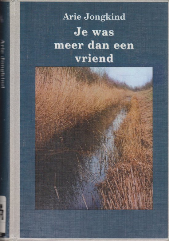 Je Was Meer Dan Een Vriend - cover