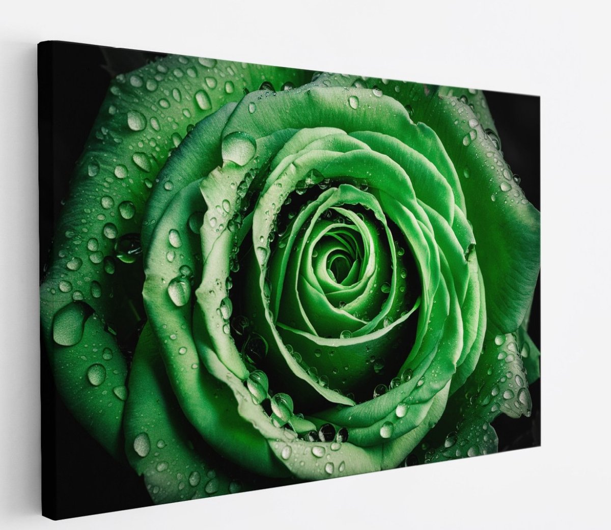 Saammp Canvas Schilderij - Groene Roos - Waterdruppels - Natuur - Abstract - 45x30 - Foto op canvas - Wanddecoratie - Muurdecoratie Woonkamer - Kantoor Decoratie Multicolor