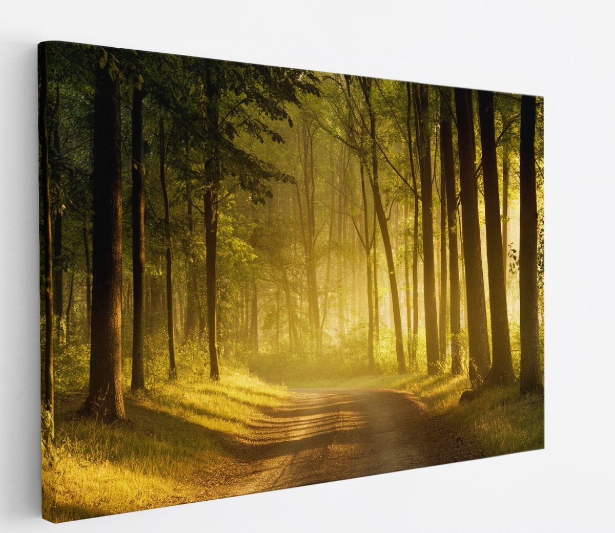Saammp Canvas Schilderij - Weg door het bos - Bomen - Landschap - Natuur - 70x50 - Foto op canvas - Wanddecoratie - Muurdecoratie Woonkamer - Slaapkamer decoratie - Canvas Print Multicolor