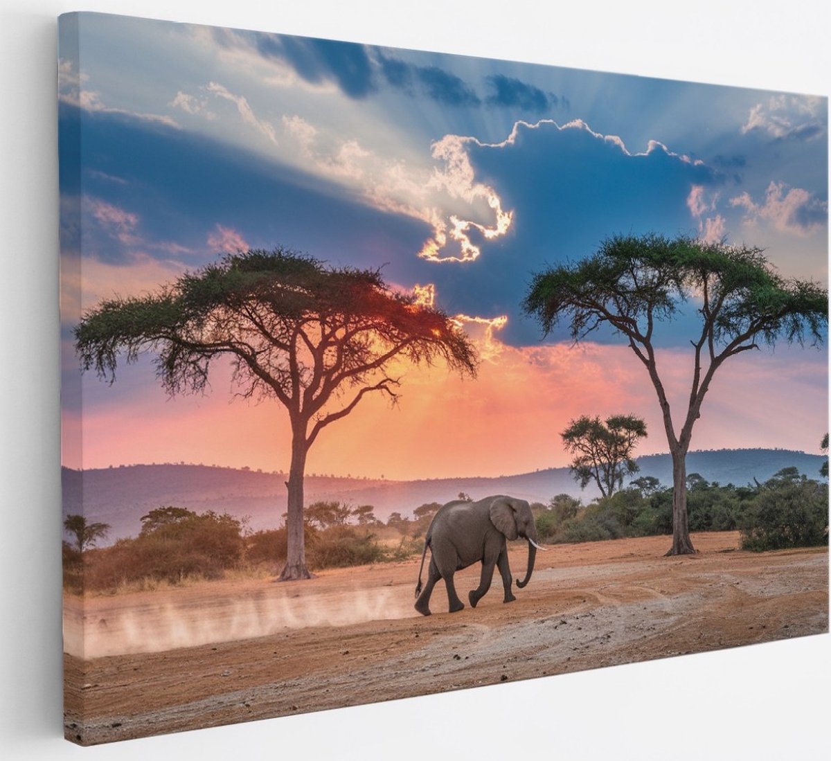 Saammp Canvas Schilderij - olifant in de serangeti - Afrika - Dieren - 30x20 - Foto op canvas - Wanddecoratie - muurdecoratie Woonkamer - Slaapkamer decoratie - Canvas Print Multicolor
