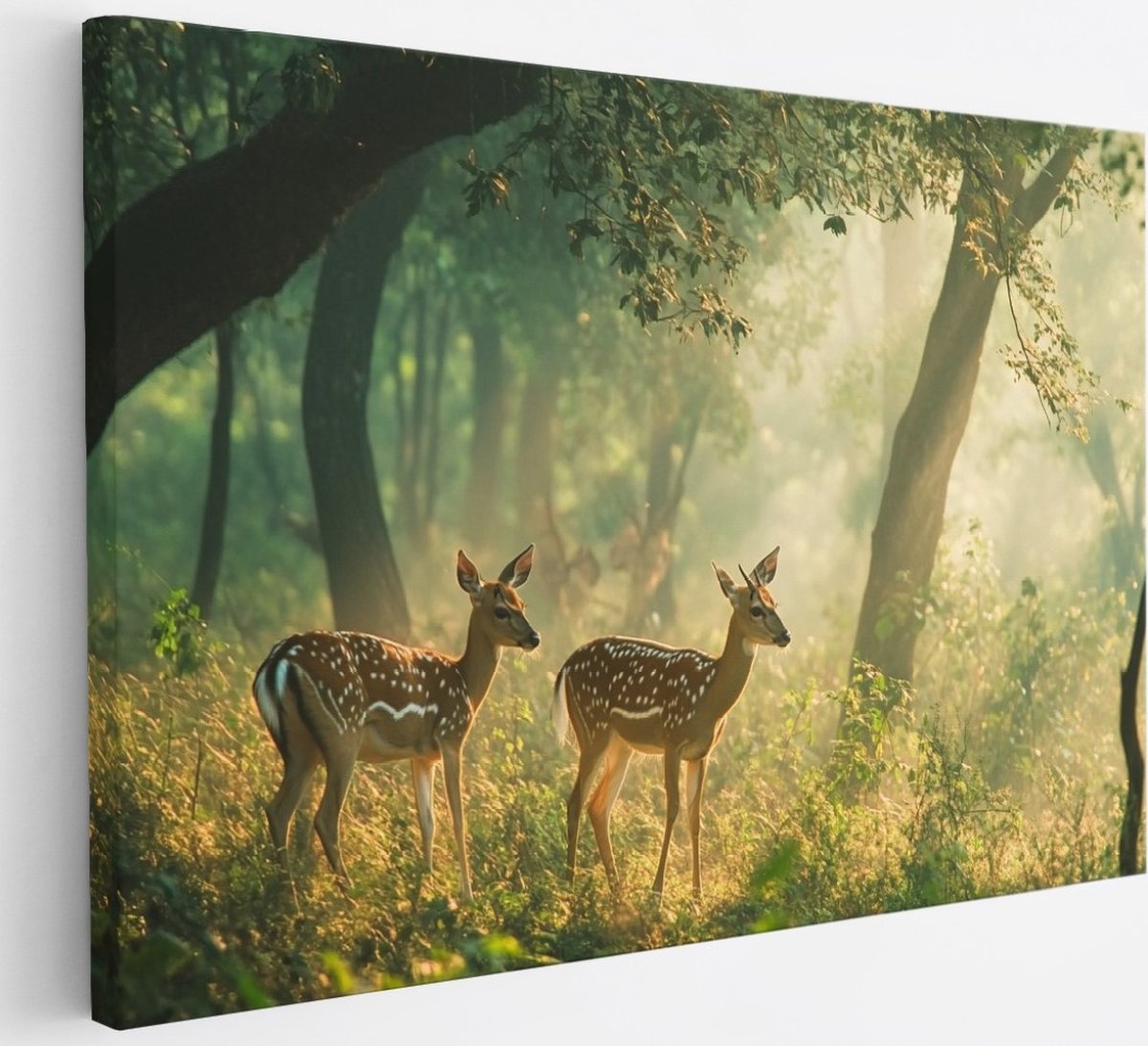 Saammp Canvas Schilderij - 2 Hertjes in het bos - Landschap - Natuur - 30x20 - Foto op canvas - Wanddecoratie - Muurdecoratie Woonkamer - Slaapkamer decoratie - Canvas Print Multicolor