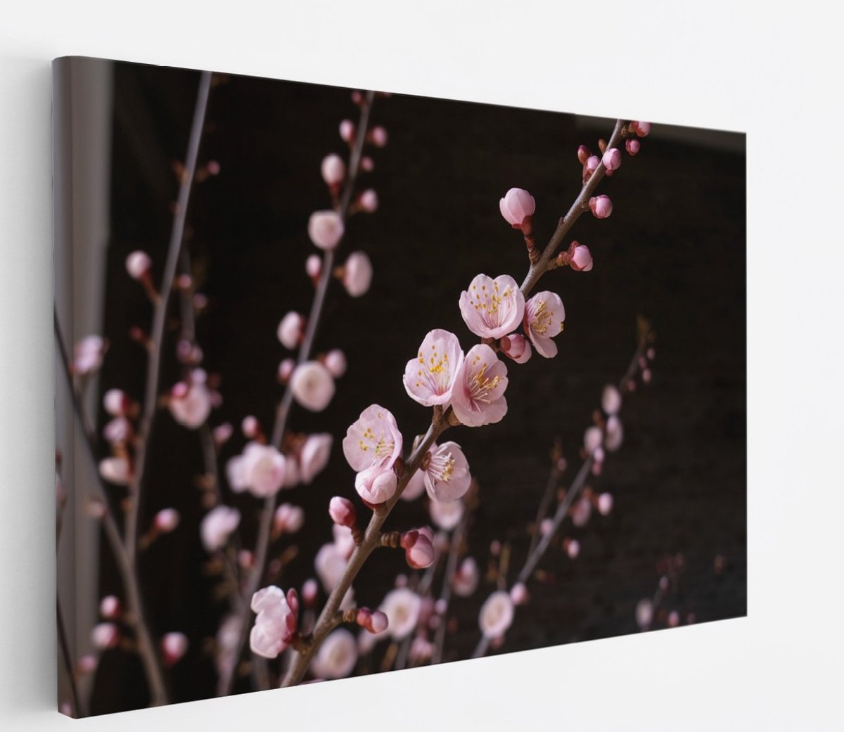 Saammp Canvas Schilderij - Roze bloesem aan tak - bloemen - 150x100 - Foto op canvas - Wanddecoratie - Muurdecoratie Woonkamer - Kantoor Decoratie Multicolor