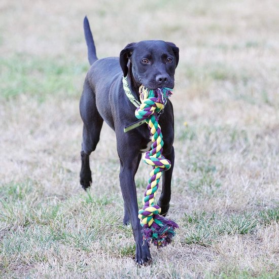 LOOBANI Bungee-sleepspeelgoed voor buiten, hondenspeelgoed om aan boom te hangen voor kleine tot grote honden, interactief oefensnoer en ketting met kauwtouwspeelgoed (zwart