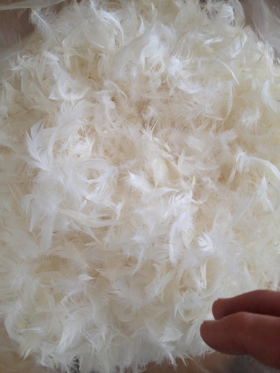100% zuivere eendenveren 200 gram - Kussenvulling - navulling - donzen vulling - donsvulling - eendendons - eenden veren - verenvulling -