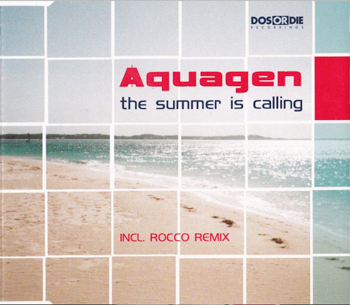 Summer Is Calling