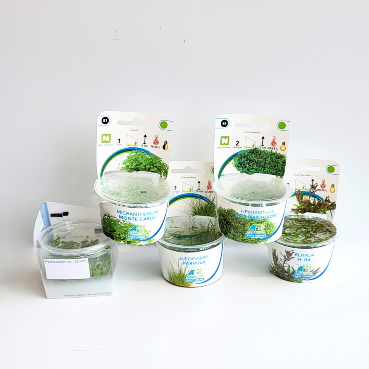 Aquabetta Aquariumplanten Set – 5 Levende In Vitro Aquariumplanten – Eleocharis, Hemianthus, Hydrocotyle, Micranthemum, Rotala – Vrij van Algen, Slakken en Pesticiden – Aquascape Steriele Planten – Voorgrond, Midden & Achtergrond