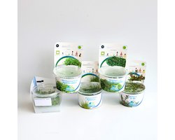 Aquabetta Aquarium Planten Set LAP-007 – 5 Aquariumplanten in vitro – Eleocharis – Hemianthus – Hydrocotyle – Micranthemum – Rotala – Decoratie – Set met diverse hoogtes – In vitro