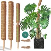 BOTC Mosstok voor Planten - 2x40cm - Plantenstok - Plantensteun - Perfect voor Monstera, Pothos en Meer