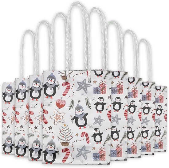 Joxessaien Cadeauzakjes voor Kerstmis met handvat, 12