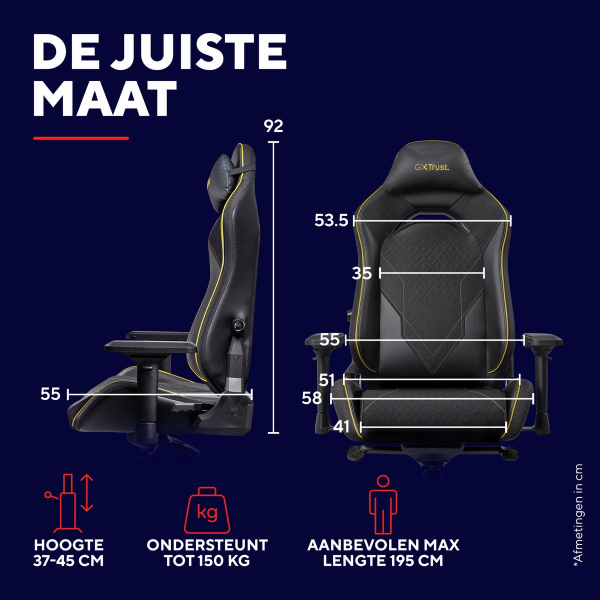 Afbeelding 3 van Trust GXT 721 Ruya Pro - Premium Gaming Stoel - Nekkussen - Verstelbare Rug Ondersteuning - Hoogte Verstelbaar - Rug- & Armleuningen Verstelbaar - Zwart/Grijs