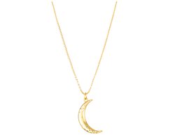 Marama - ketting Moon Goud - damesketting - stainless steel met goud plating - maan - zirkonen - glanzend - cadeau dames - ketting met hanger