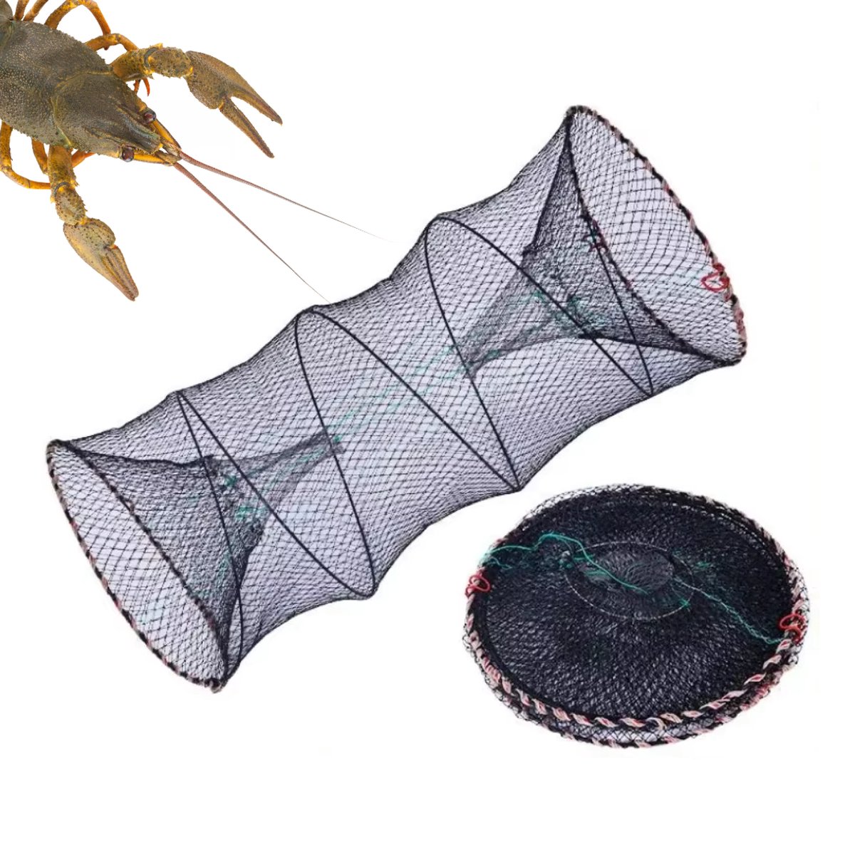 Rivierkreeft fuik - korf - Opvouwbaar - RVS - 60x Ø30cm - KreeftenVal - VisFuik - PalingFuik - LeefNet