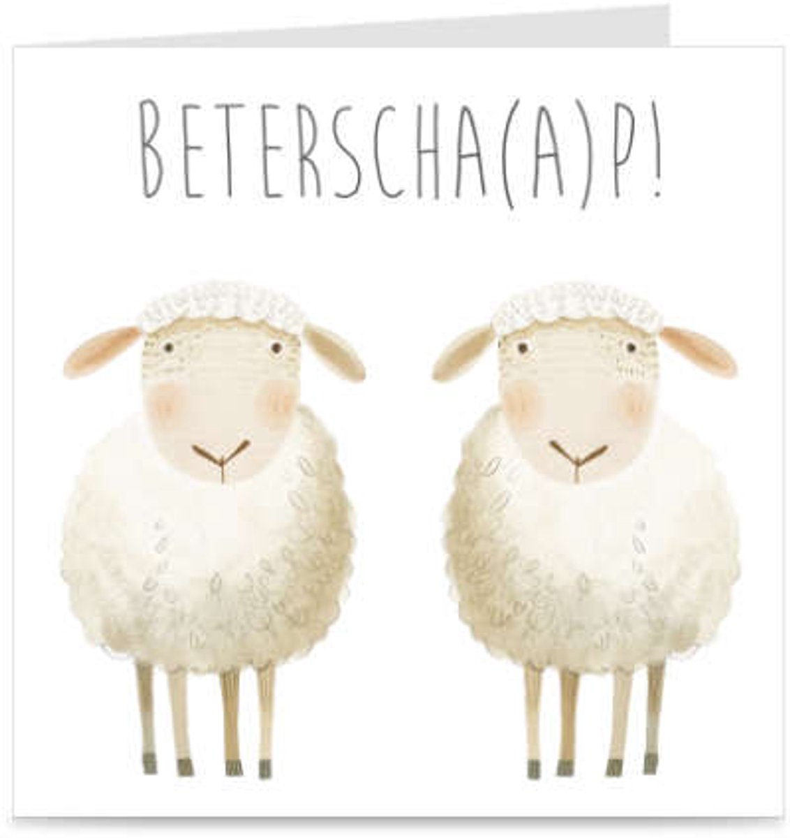 BETERSCHA(A)P | kaart / wenskaart met envelop | grappige beterschapskaart met schaapjes