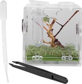 Acryl Springspin Terrarium - Transparant Insectenverblijf voor Spinnen