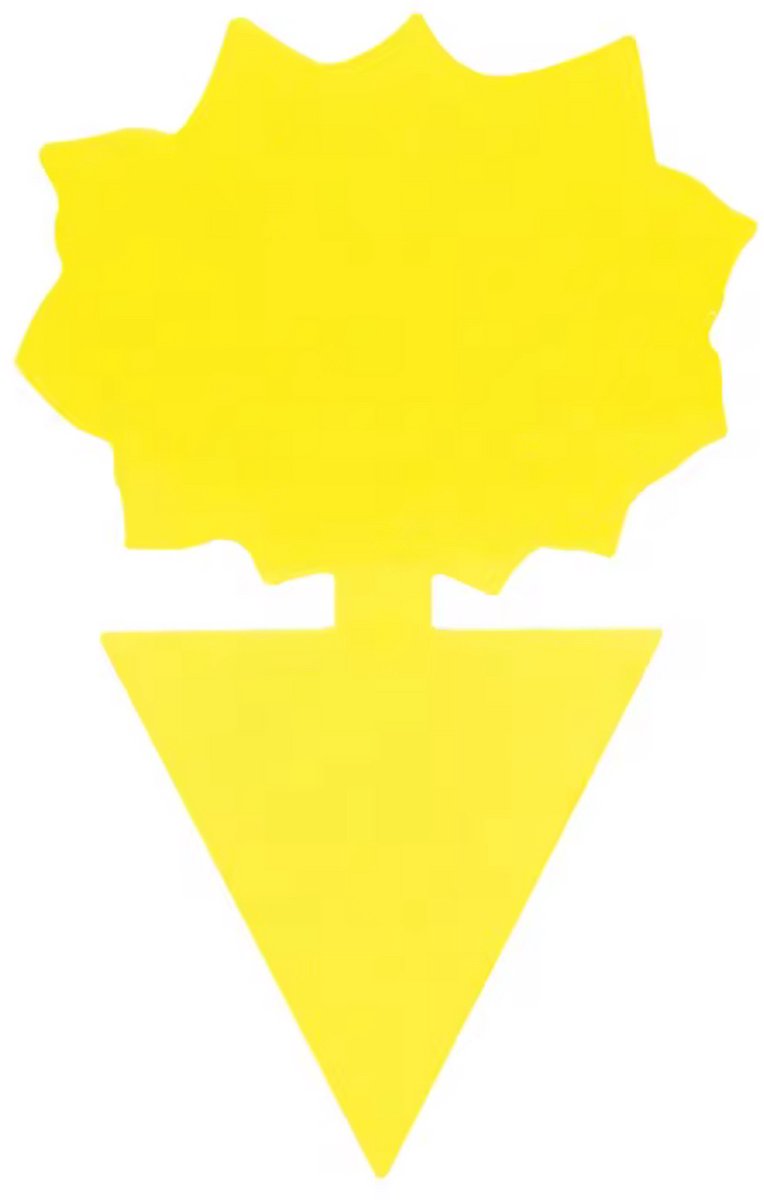 TSD goods Vliegenval - Fruitvliegjes Vanger - Rouwvliegjes Bestrijden - 50 stuks