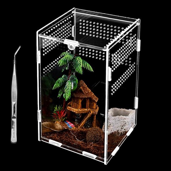 Reptilien Terrarium Box, Transparente Fütterungsbox Acryl, 20*12*12cm