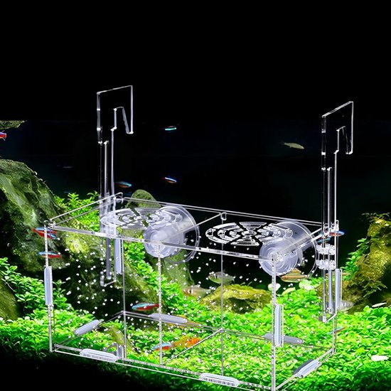 Allecto Plus - Kweekbox voor vissen en aquarium: kweekbox voor het fokken, isolatie en