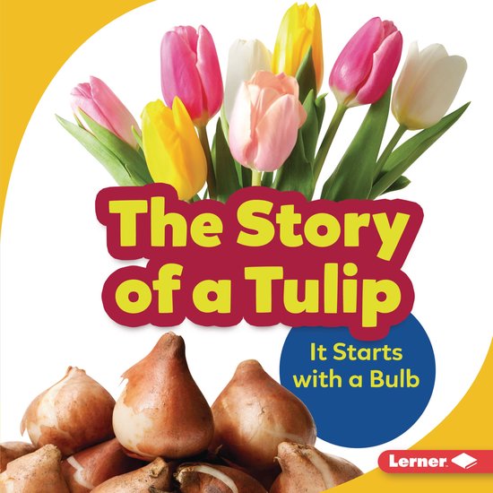 The Story of a Tulip - cover