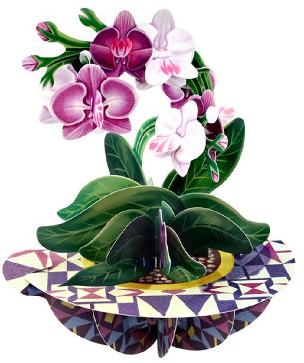 Wenskaart - Pirouettes 3D - SPS099 - Orchid