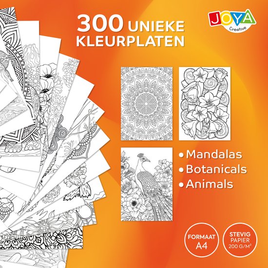 Zylota Livre De Coloriage Avec 36 Feutres Coloriage Adulte, 30 Motifs Relaxants, Livres De Coloriage à Spirales Pour Femmes, Livre De Coloriage Pour