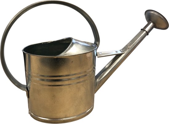 Grand arrosoir en métal galvanisé Dutchlander d'une capacité de 10 litres et équipé d'un pommeau de douche.