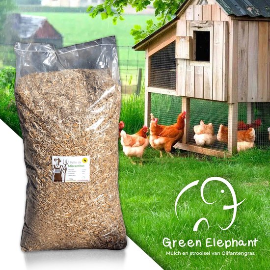 Paille Miscanthus Herbe Éléphant Poulailler Souris Rouges Tabac