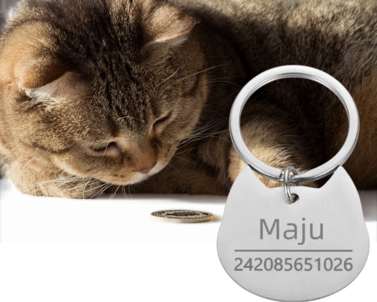 Kattenpenning - Huisdierpenning - Dierenpenning inclusief graveren - Zilverkleurig - Petshop Seven®