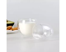 Megalin - dubbelwandige glazen set van 6 - 250 ml