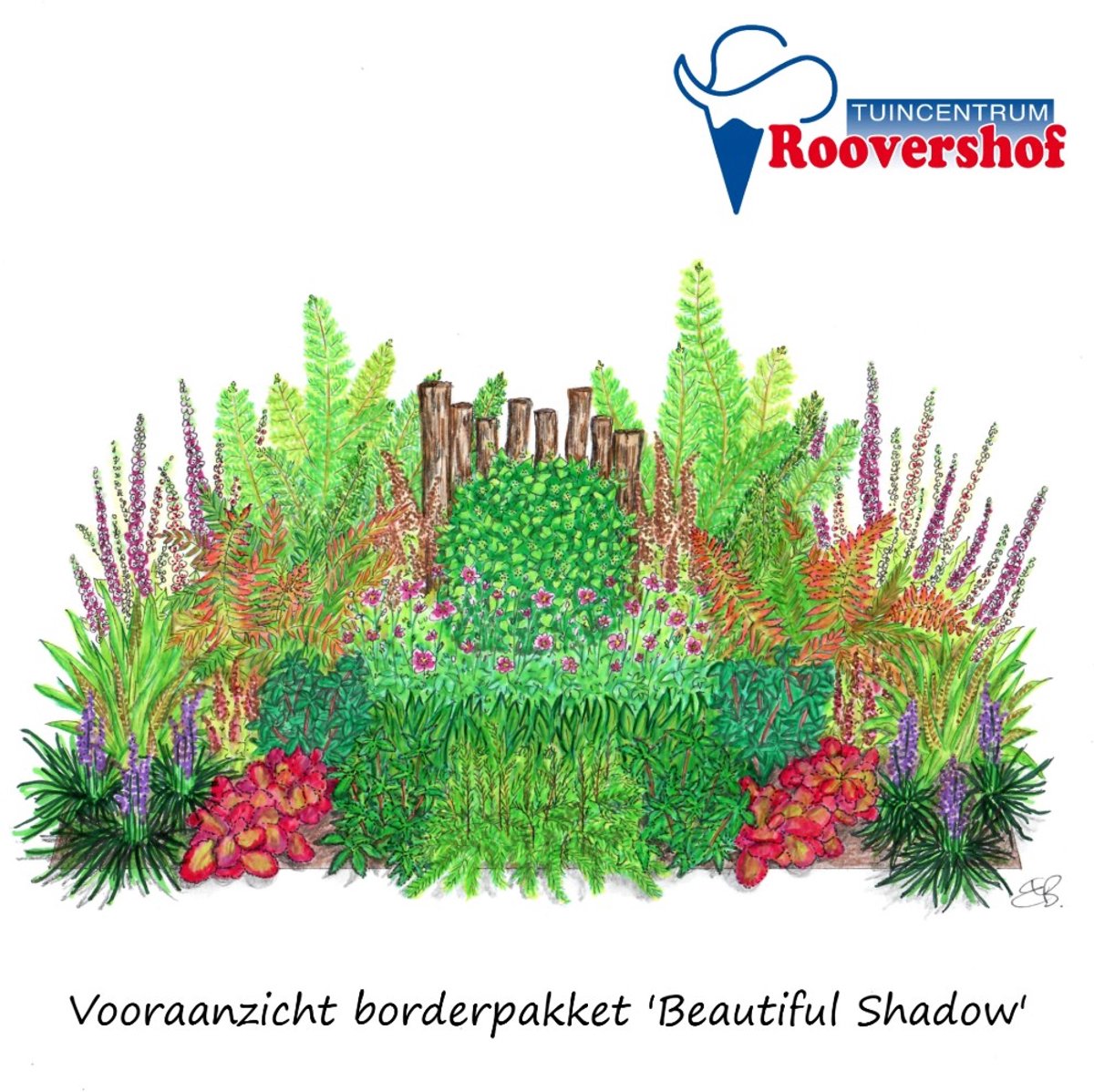 Borderpakket 'Beautiful Shadow' - schaduwplanten - 64 planten - 9-10 m² - exclusief palen