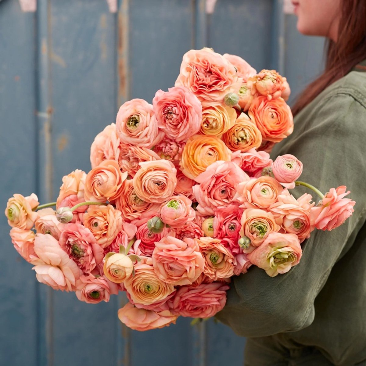 Bulbs by Brenda | Ranunculus Amandine Salmon | 10 stuks | ranonkels