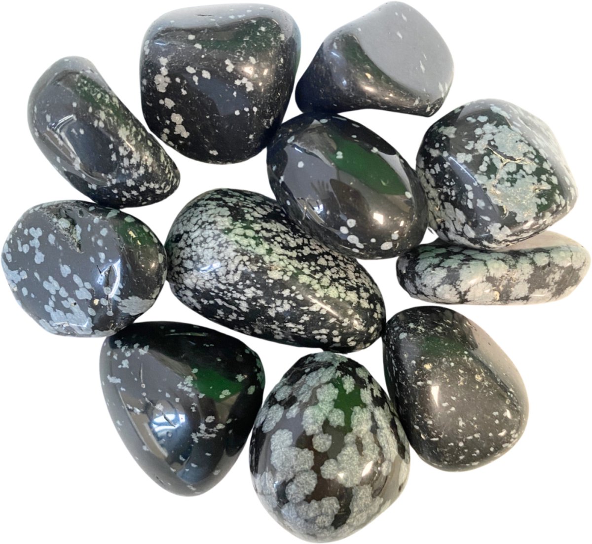 Ruben Robijn Obsidiaan sneeuwvlok trommelstenen 250 gr. (mt3) Wit / zwart