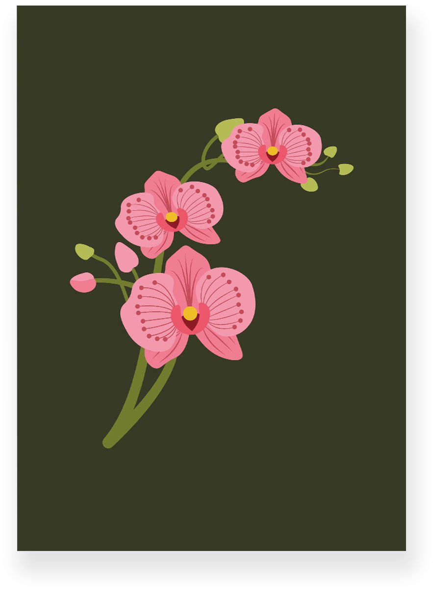 Yisual Poster 30x40 cm - Orchidee - Bloemen - Groen - Roze - Minimalistisch - Botanisch - Muurdecoratie - Wanddecoratie