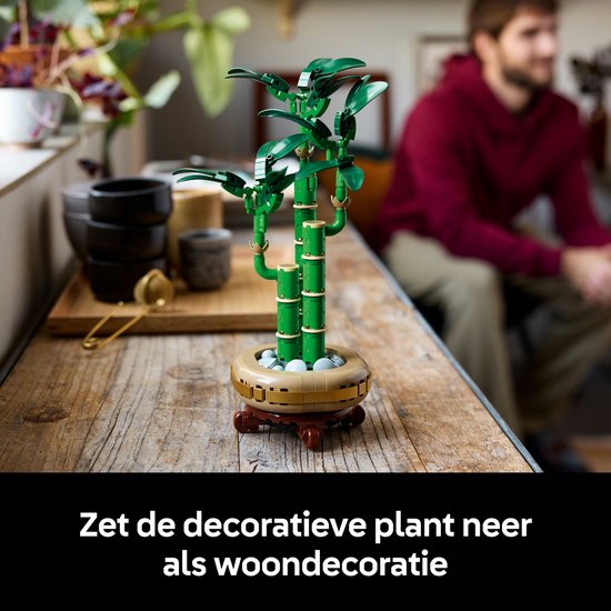 Plante de bambou LEGO sur une table en bois, avec un homme en arrière-plan.