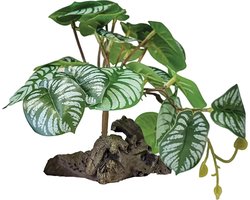 Repto Plant On Deco Begonia terrariumkunstplant 19 cm