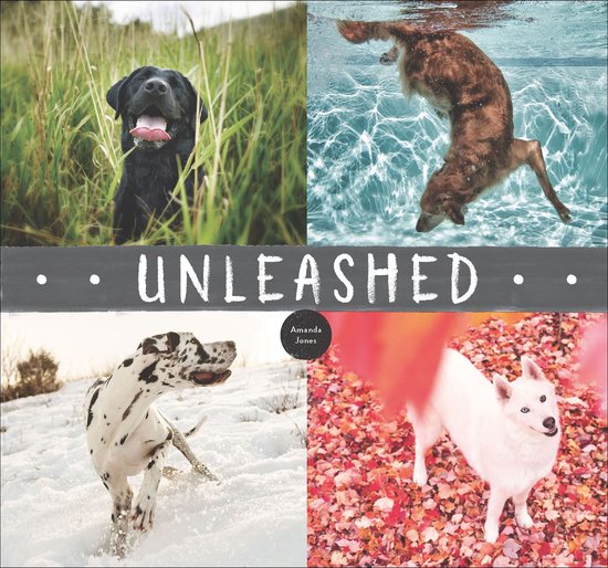Unleashed - cover