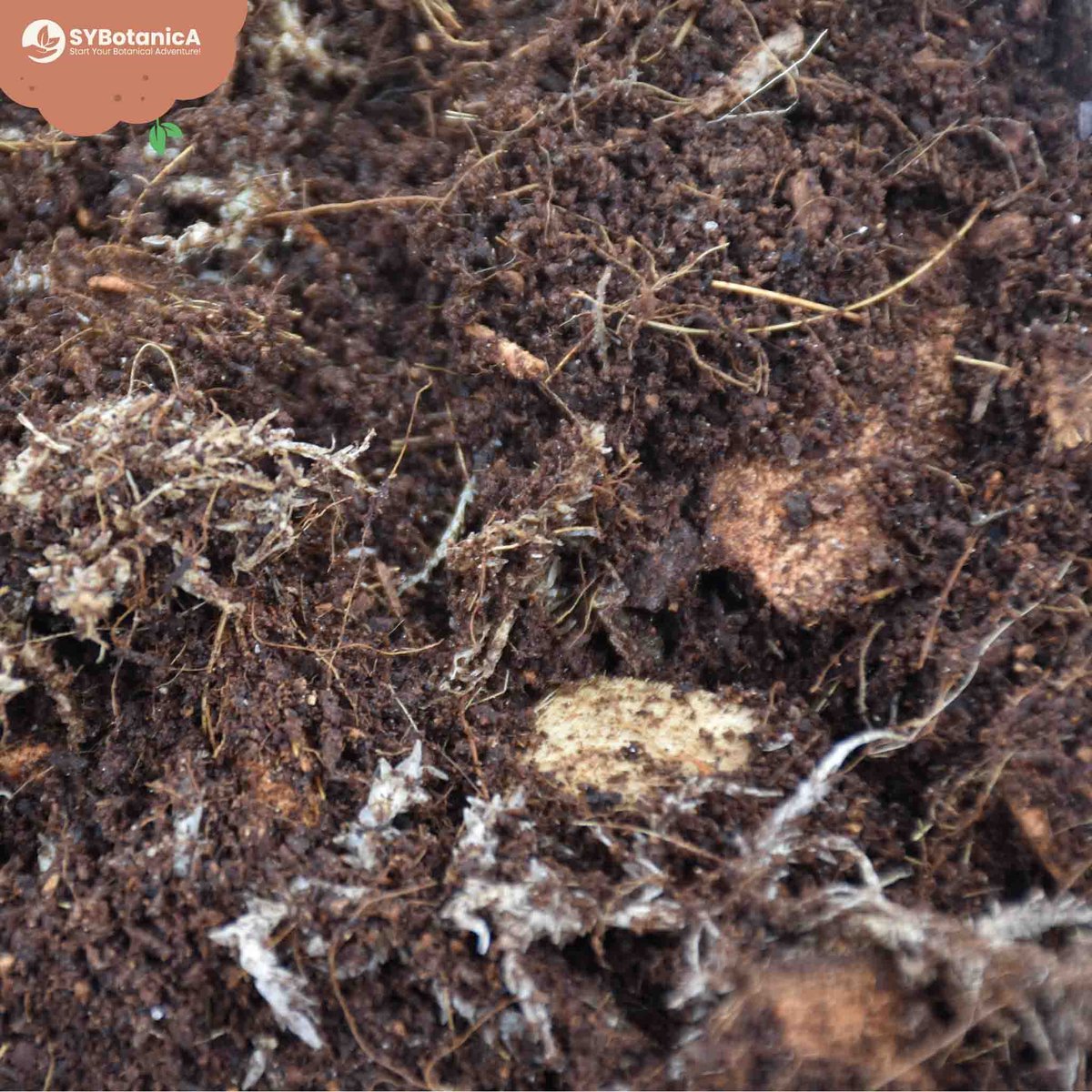 SYBASoil Terrarium mix 5L - Turfvrije Potgrond Mix - 6 Maanden Voeding