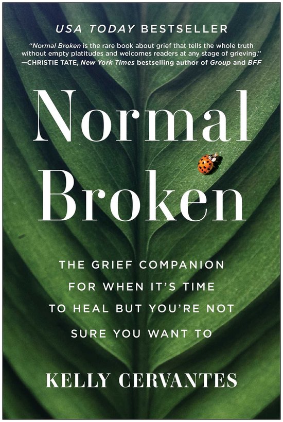 Normal Broken - cover