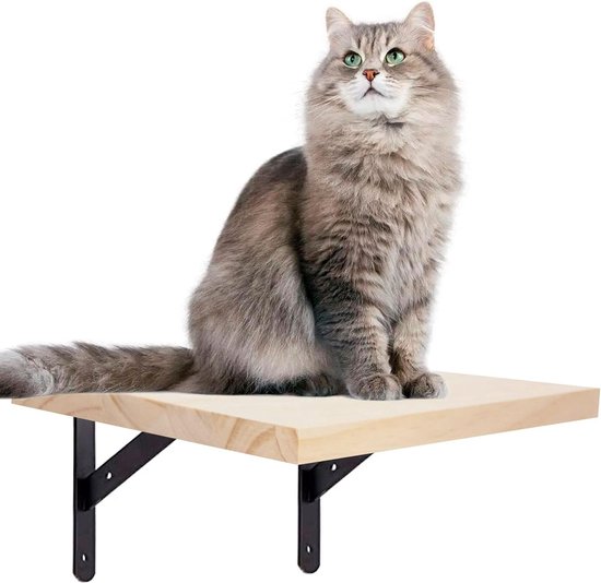 Catswall Katten Klimmuur Box - Voor aan de muur - 33 x 40 x 32,60 cm