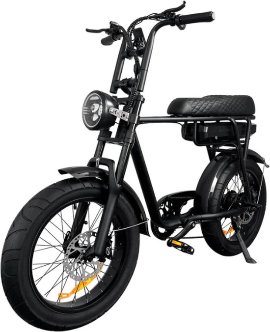 EB2 Elektrische Fatbike -...