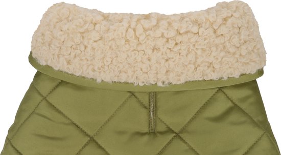 Bovenkant van een groene, gewatteerde hondenjas met een dikke, crèmekleurige teddykraag.