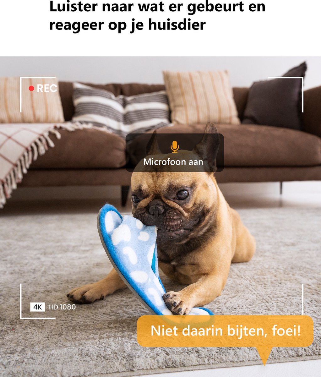 Imou Ranger Dual Petcam Huisdiercamera met Slimme Volgfunctie - afbeelding 3