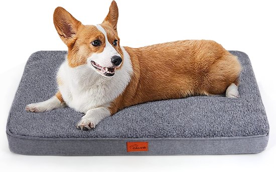 Een corgi ligt op een donkergrijs, zacht hondenbed met een oranje label.