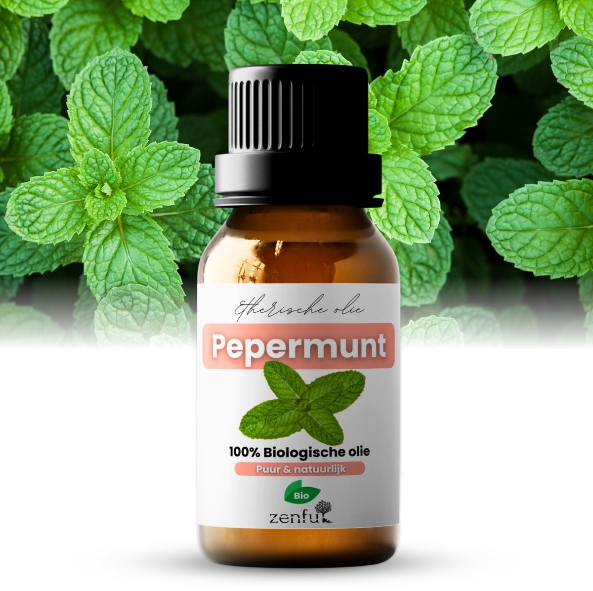Goedkoopste Zenful Pepermunt - Etherische olie - Pepermuntolie - Puur - Biologisch - Peppermint - 5 ml