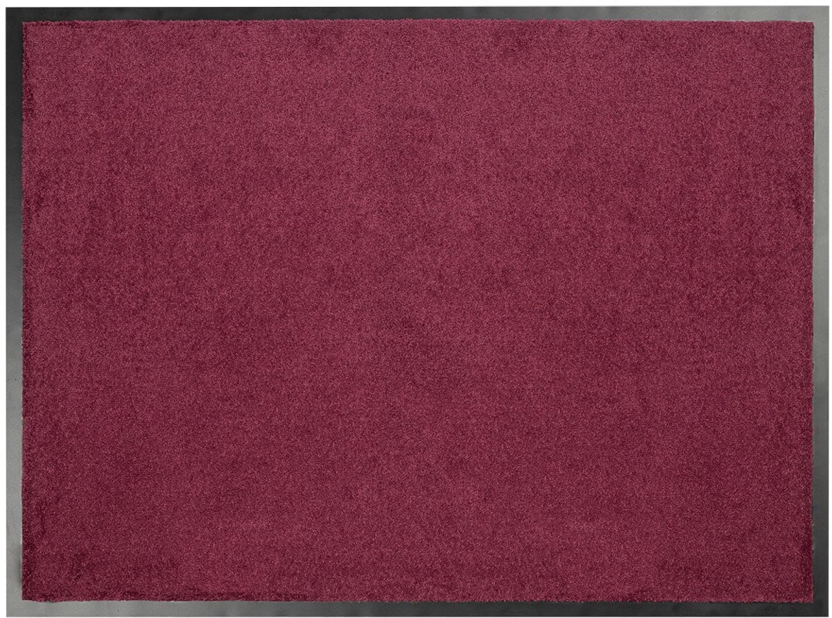Floordirekt Deurmat Performa - Hoog Absorptievermogen - Voor Binnen en Buiten - Violet - 90 x 300 cm