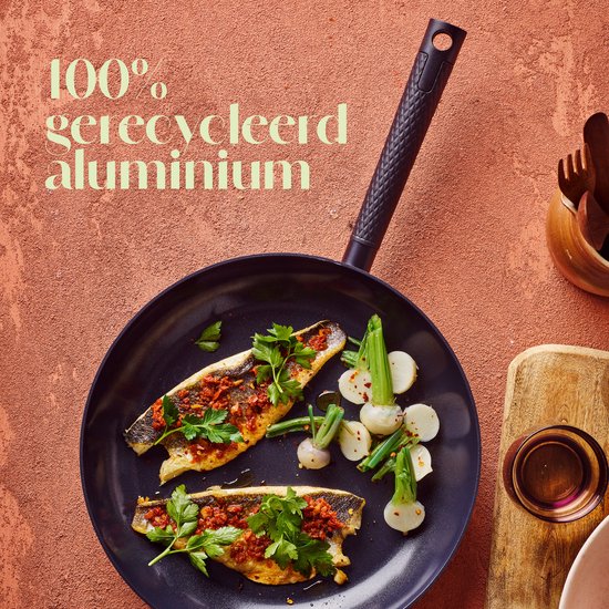 Koekenpan met twee stukken vis en groenten, met de tekst '100% gerecycled aluminium'.