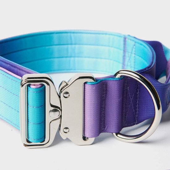 Spark Paws - Grote hondenhalsband (Big dog collar) - 90s retro | bol