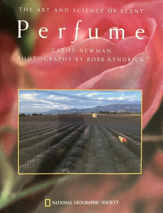 Perfume - cover